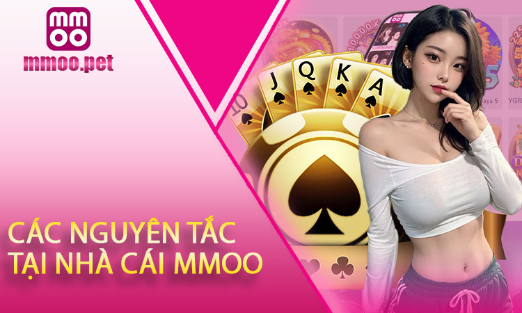 Các nguyên tắc và nguyên tắc tuân thủ của nhà cái MMOO