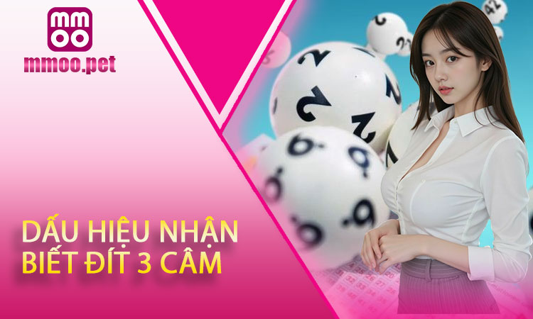 Dấu Hiệu Nhận Biết Đít 3 Câm