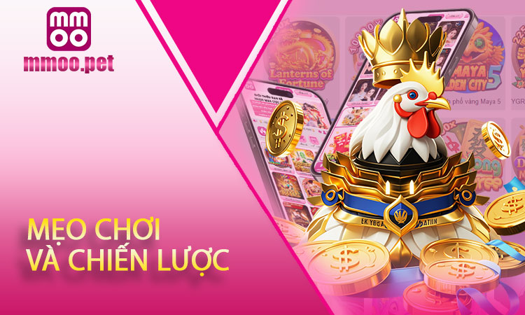 Mẹo chơi và chiến lược cá cược Đá gà hiệu quả